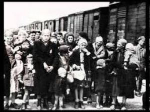 Patrick Rotman extrait film les survivants